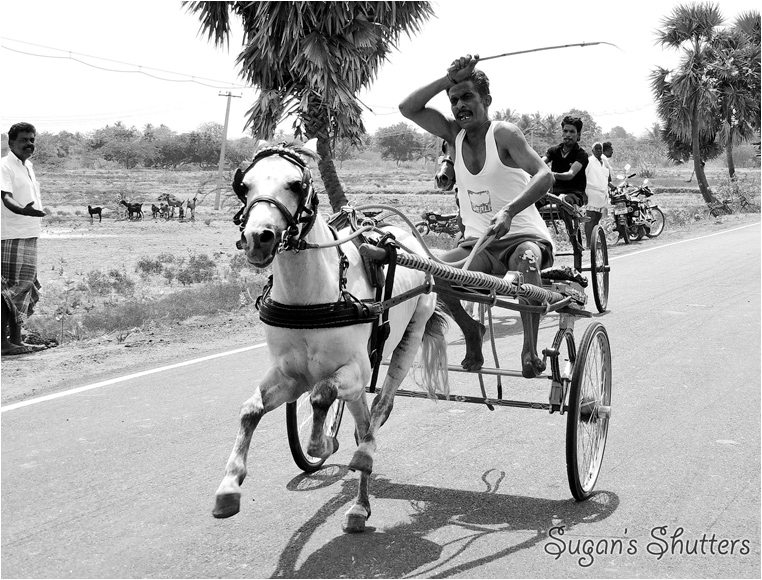 emphoka, photo of the day, Sugan Raj, Nikon Coolpix P510 emphoka, photo of the day, Sugan Raj, Nikon Coolpix P510