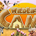 Wildlife Camp Free Download PC Game