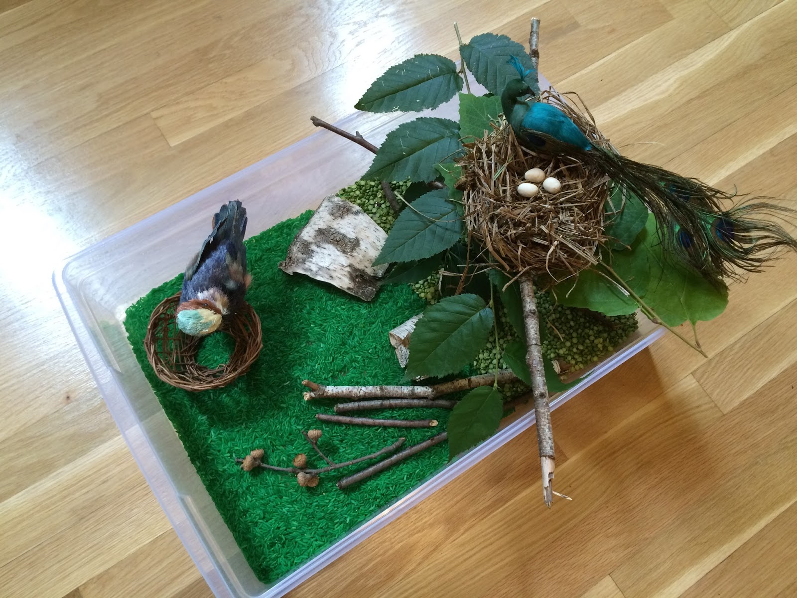 Creative Projects for Kids Bird's Nest Sensory Bin
