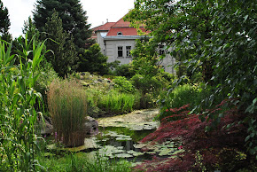 BOTANICAL GARDEN UNIVERSITY INNSBRUCK