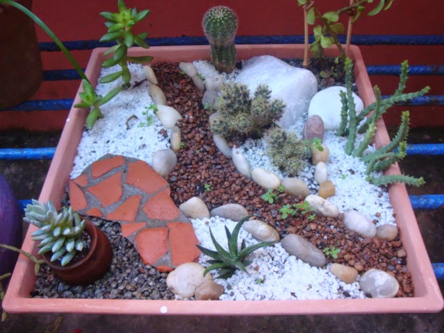 mini jardins em vaso:Este é mais um que acabei de fazer, numa especie de bandeja, aquela mini jardins em vaso:Este é mais um que acabei de fazer, numa especie de bandeja, aquela