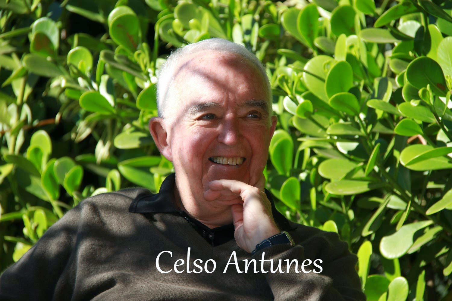 Celso Antunes