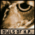 I like the owls from Harry Potter
