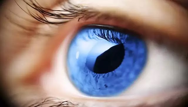 Πόσα megapixels είναι η ανάλυση του ανθρώπινου ματιού;(video) Πόσα megapixels είναι η ανάλυση του ανθρώπινου ματιού;(video)