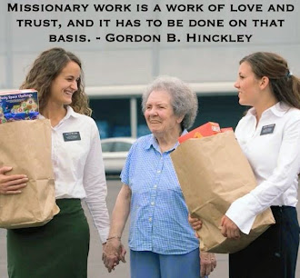 What Missionaries Do