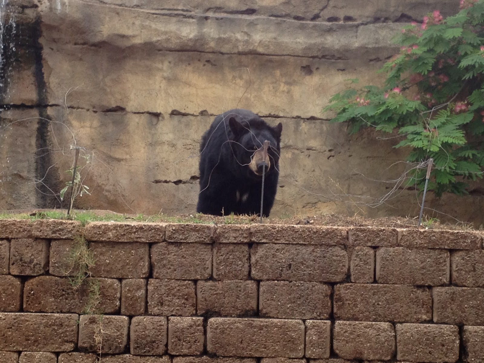 Tour My Texas Cameron Park Zoo, Waco, TX