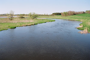 Pomme de Terre River - mn