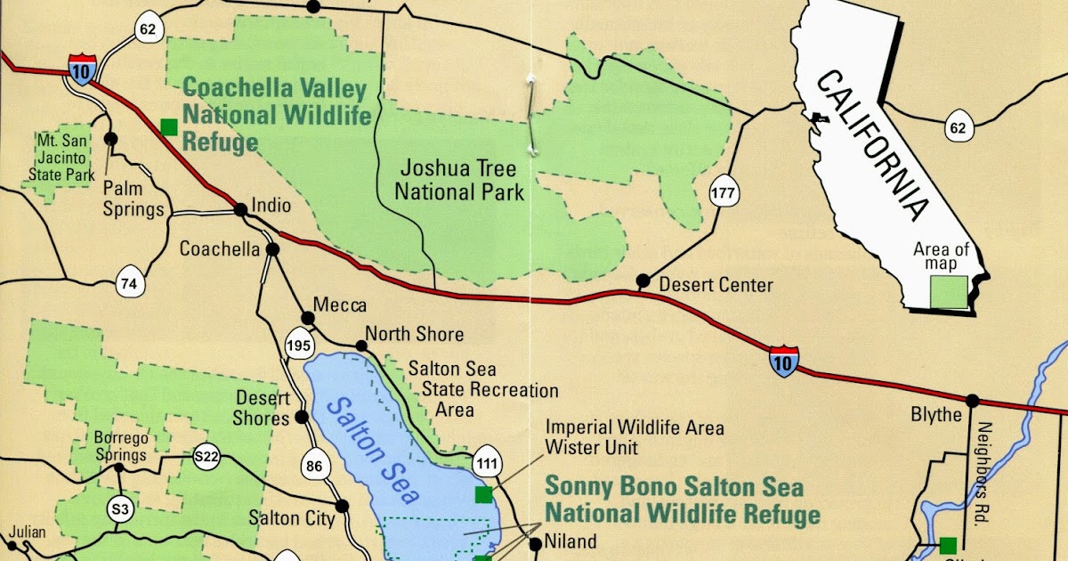 Turkey Tales and Frog Fables Salton Sea Part 1 Salton Sea State