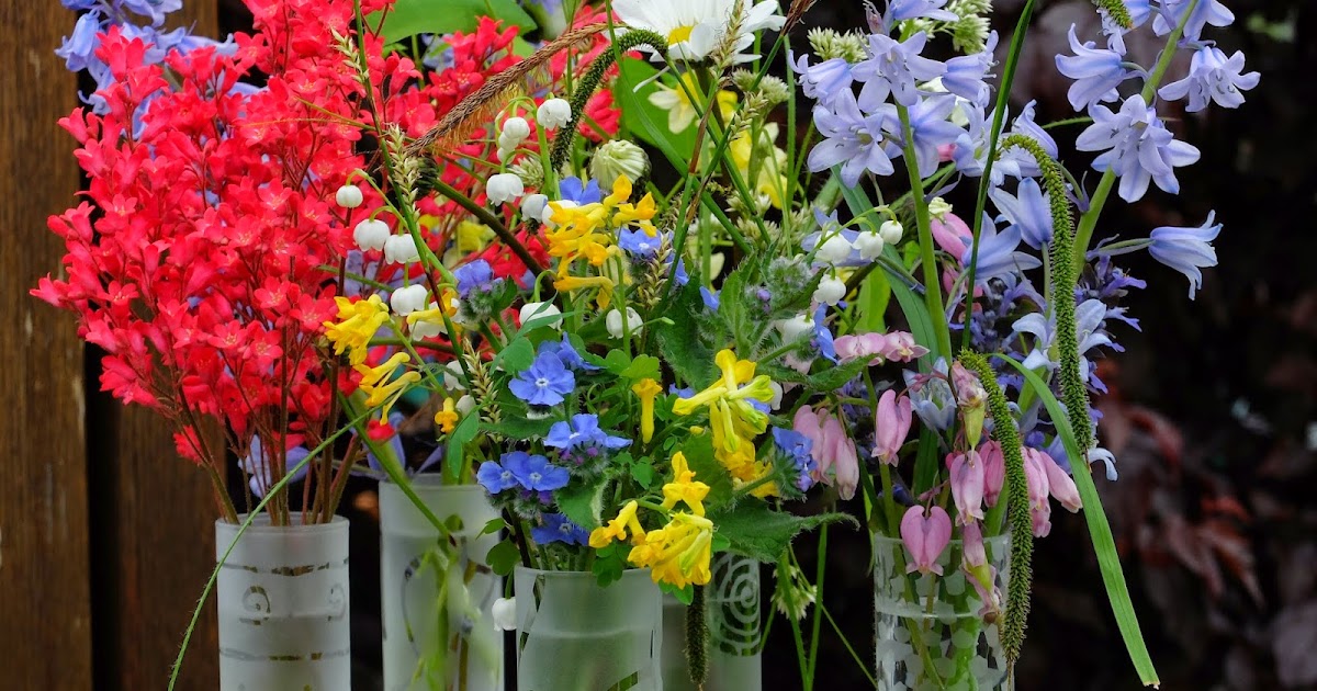 TravelMarx A Sample of Seattle Spring Flowers in Our Yard