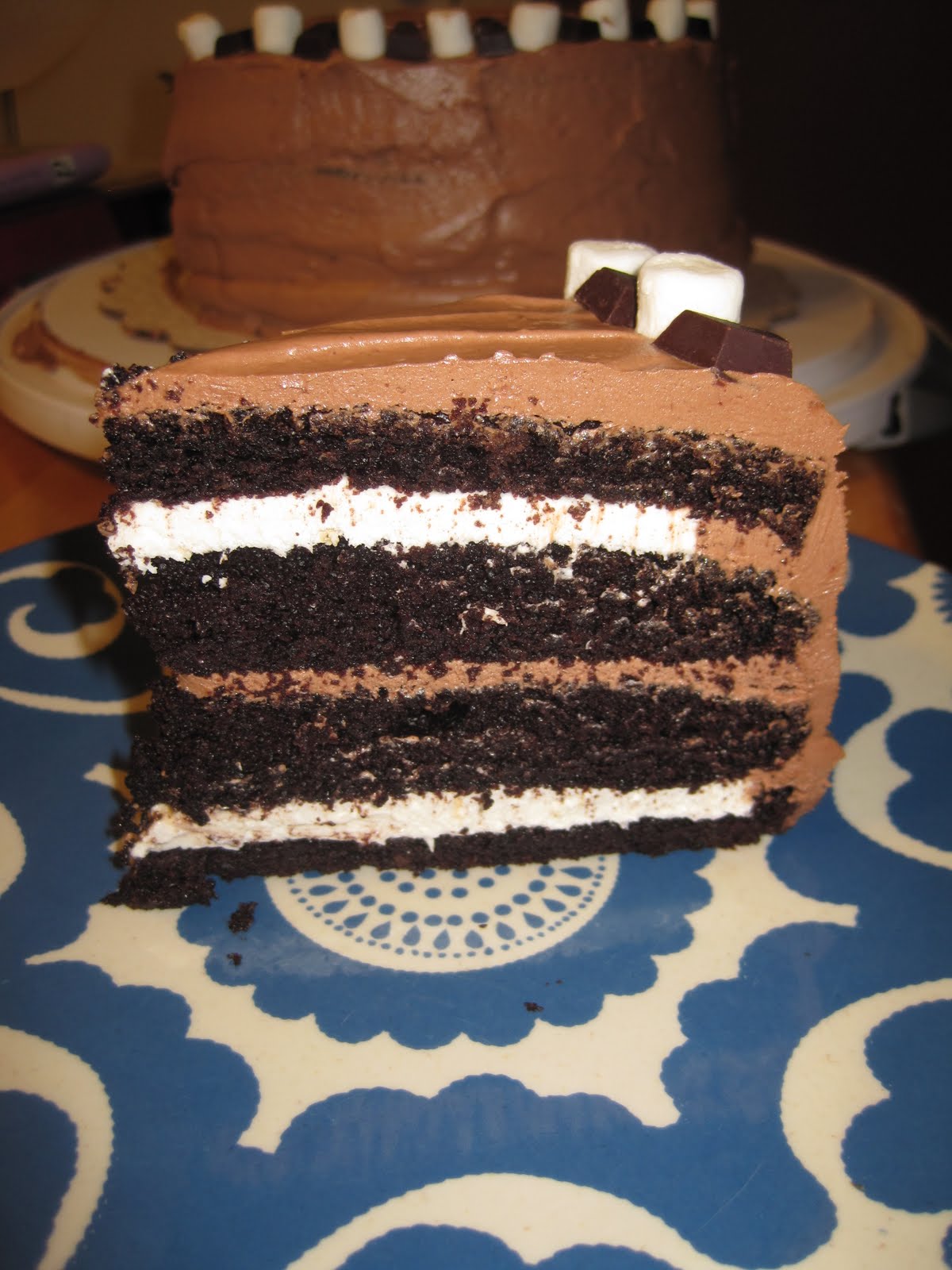 Mama Sarah s Kitchen: Campfire Delight : Best. Cake. Ever.