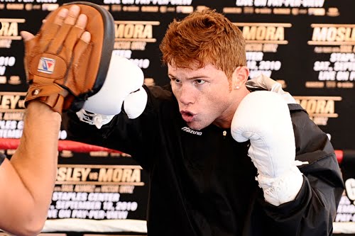 Canelo Alvarez.com fan site is dedicated in providing its readers the most up to date and in-depth. buenas tardes me gustaria contactar a saul el canelo alvarez para una conferencia. Jr. “Confirmed” · Canelo Alvarez Next fight Vs Floyd Mayweather Jr. – Sept 14th at the MGM Grand in Las Vegas.. September 24, 2010.