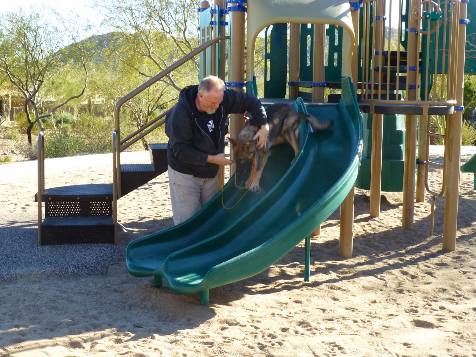 Playgrounds Are For Dogs