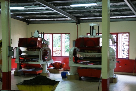 Swiss On Tour Cameron Highlands Teeplantagen Und Kuhles Bergland