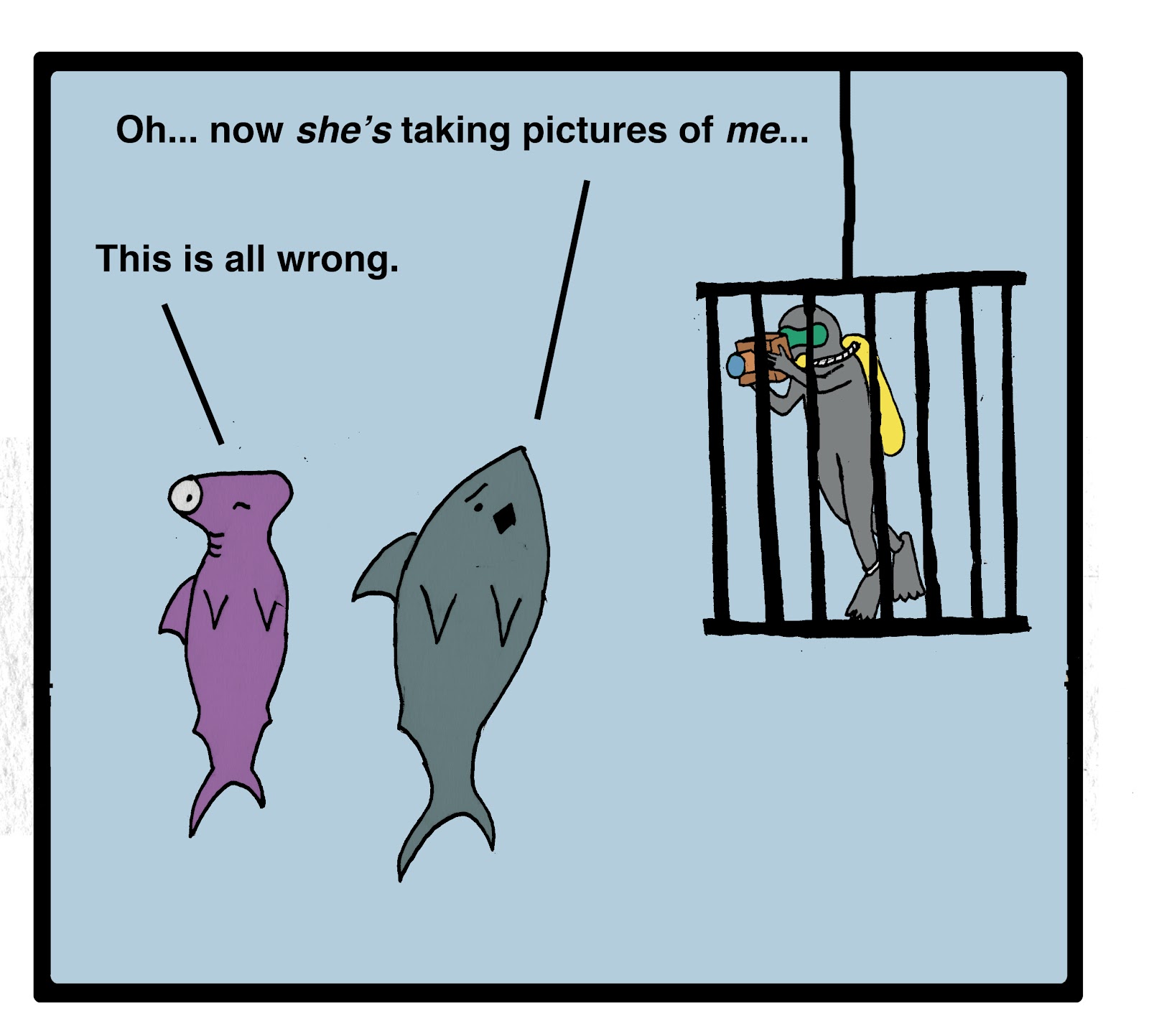 Shark Safety Training Show Cage Diver