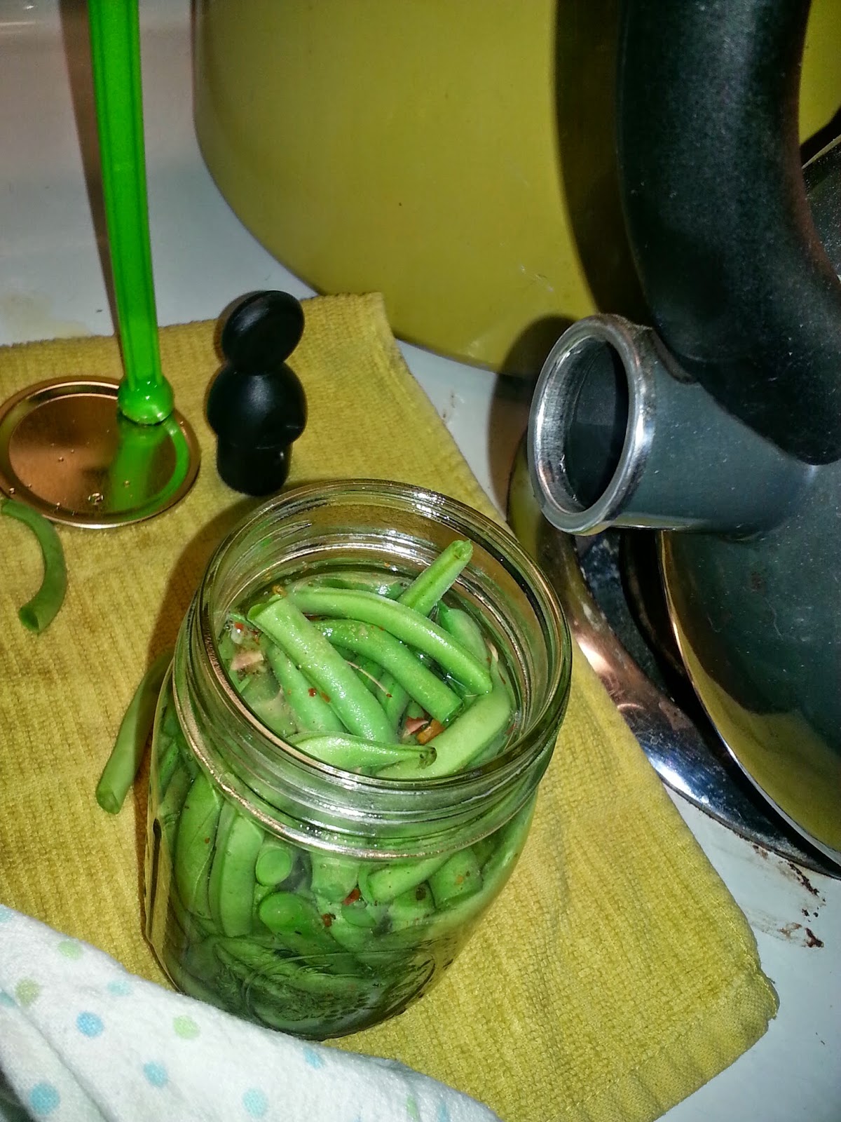 The Not Quite Homestead Canning Green Beans....with Flavor!