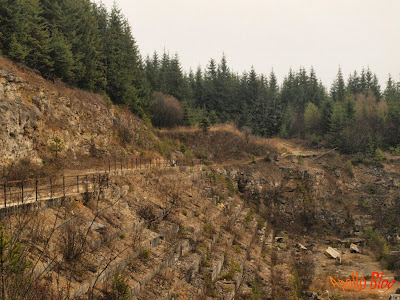 Borsec - Cariera de Travertin