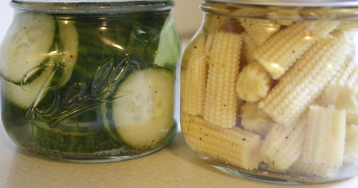 two birds on a wire recipe box five