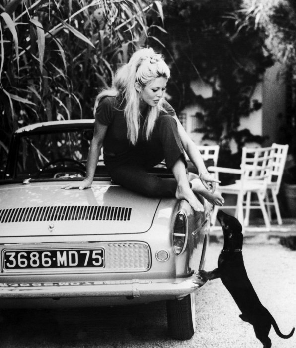 What Did Brigitte Bardot Look Like  in 1962 