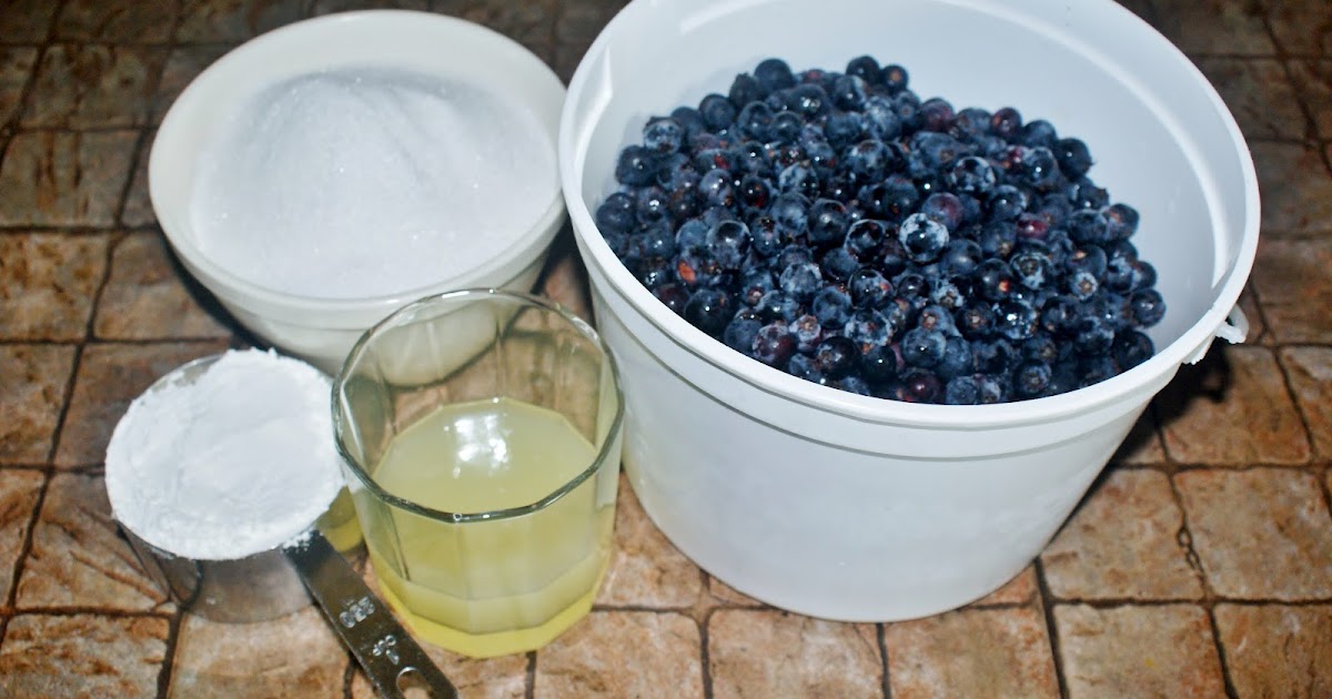 Off the Grid at 30 Recipe Thursday Saskatoon Pie Filling