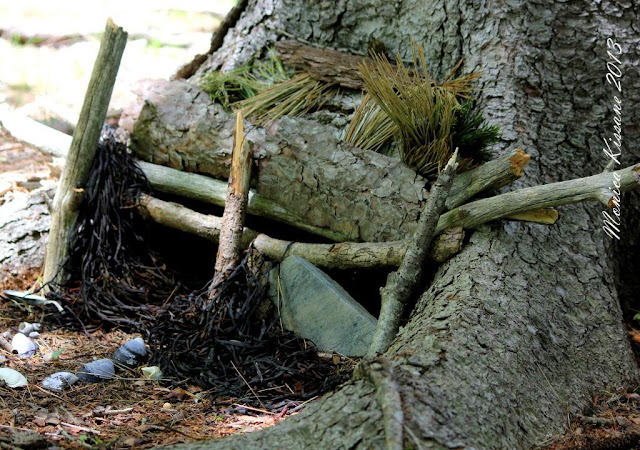 Maine fairy house