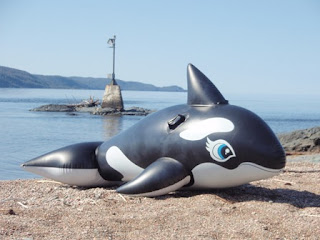 beached-whale-sm.jpg