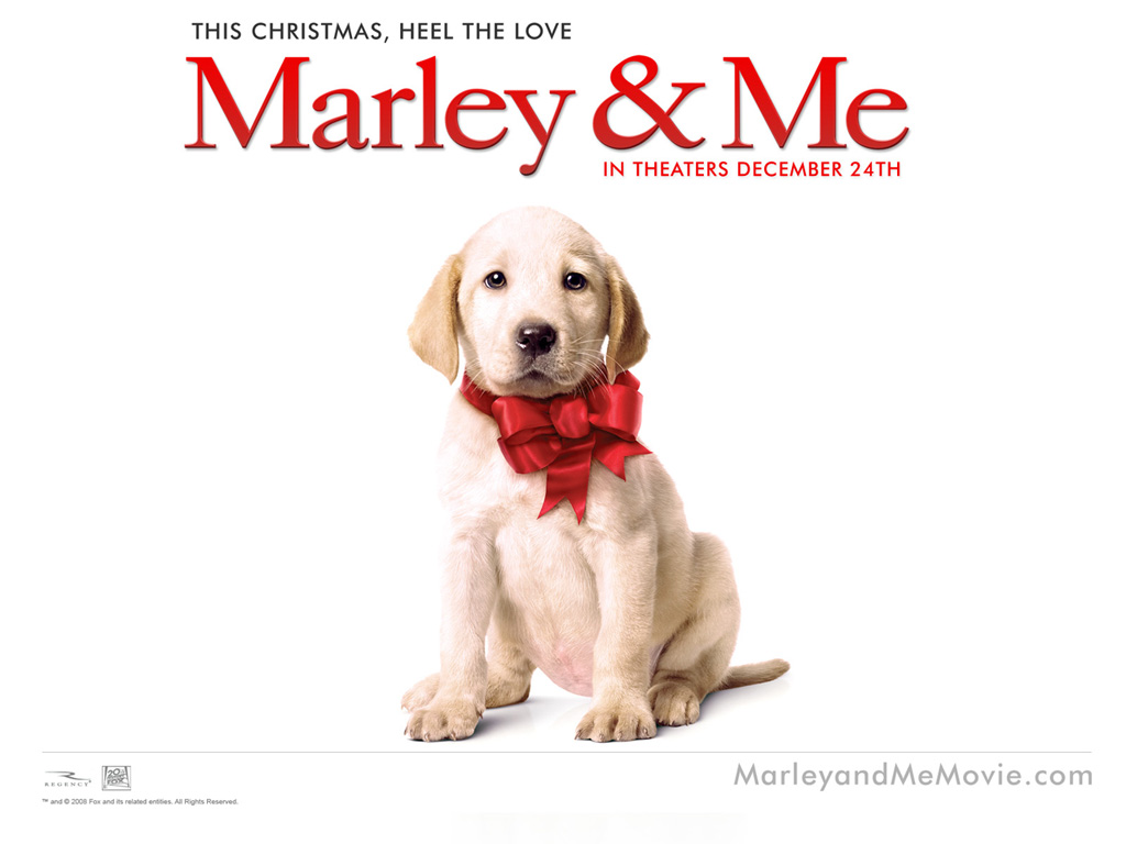 The Blind Side Marley and Me