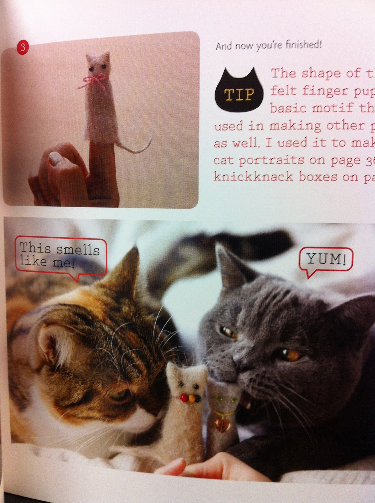 Amuru creations Crafting with cat hair???