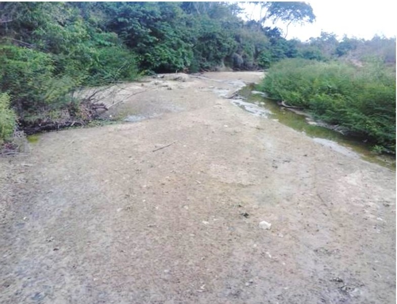 O Rio Grajaú está Seco, está parecendo mais uma estrada de terra
