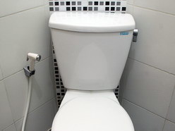 Toilet Bersh