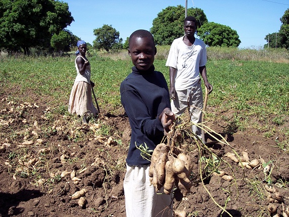 Monster Bego: 5 Jenis Makan Pokok Negara - Paling Unik di Dunia