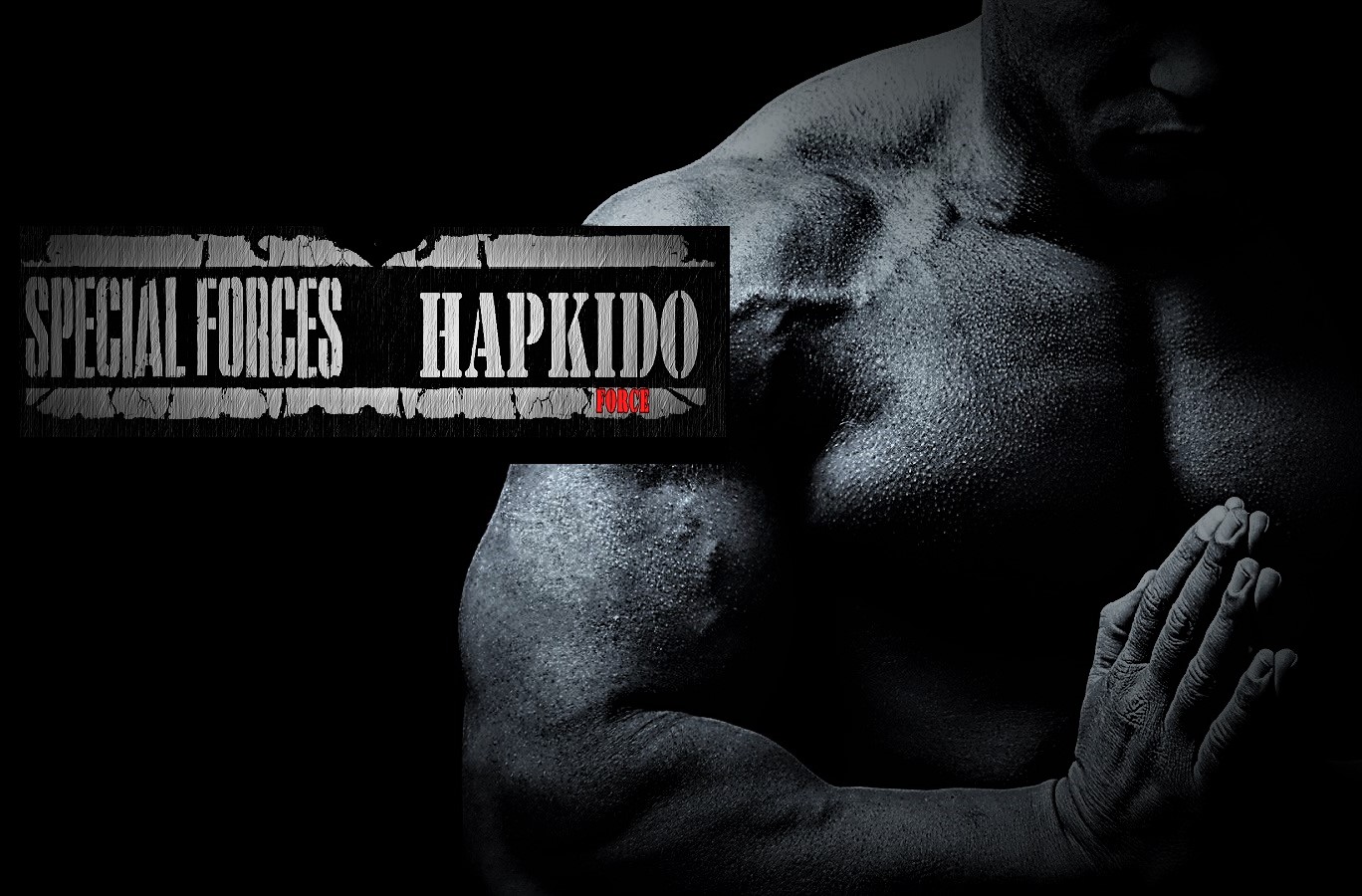 Hapkido Force Hugo Cascia