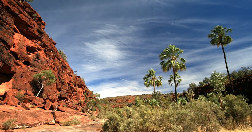Australian Hotspots Palm Valley, Northern Territory