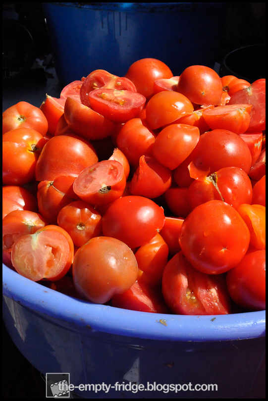 The Empty Fridge. Tomato Sauce Day Italian Backyard Style.