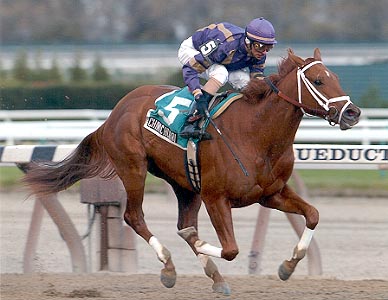 George Washington Racehorse