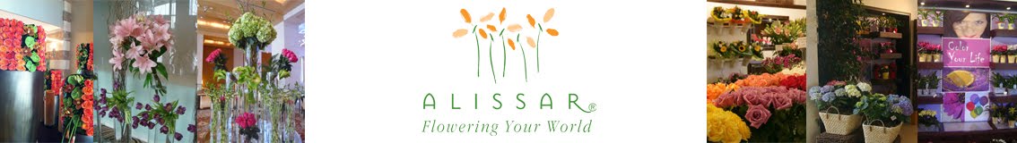 ALISSAR® Flowers