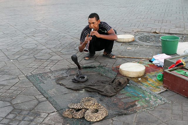 Encantador de serpentes Jemaa el Fna