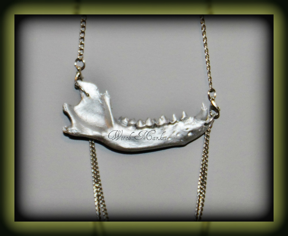 Bohemian Heart Workshop: Authentic Raccoon Jaw Necklace