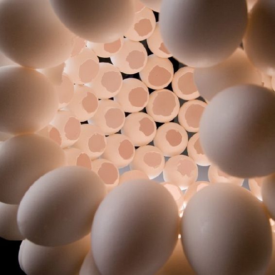 Recycling Egg Shells Recycling Center