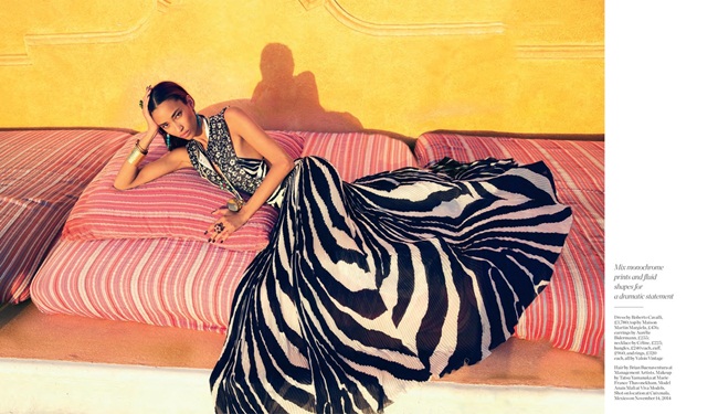Porter #7 Spring 2015, Anais Mali Roberto Cavalli Spring 2015 Zebra Printed Silk Dress Editorials