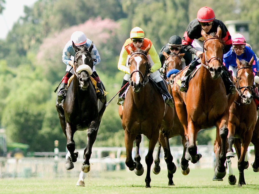 Computer Horse Program Racing Uk Tv