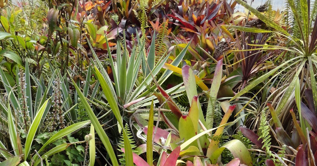 danger garden Rare Plant Research Open House, 2012