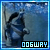 I like Grand Master Oogway
