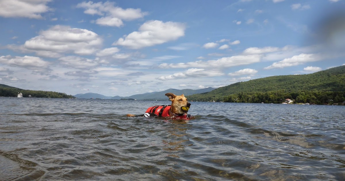 Lake Dog Beach Kenzie the Fuzzbucket