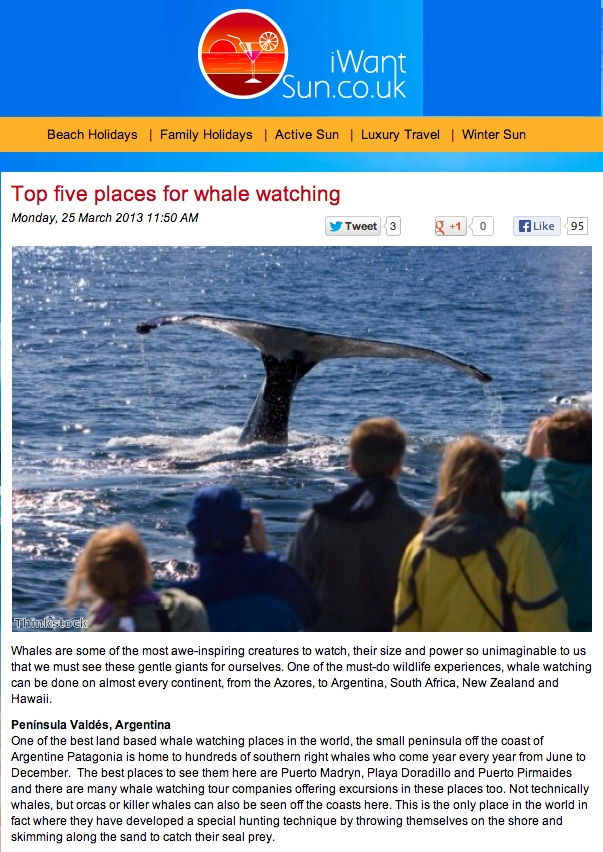 I Want Sun web site, distinguished Peninsula Valdes like best whale watching place aroun the world I Want Sun web site, distinguished Peninsula Valdes like best whale watching place aroun the world