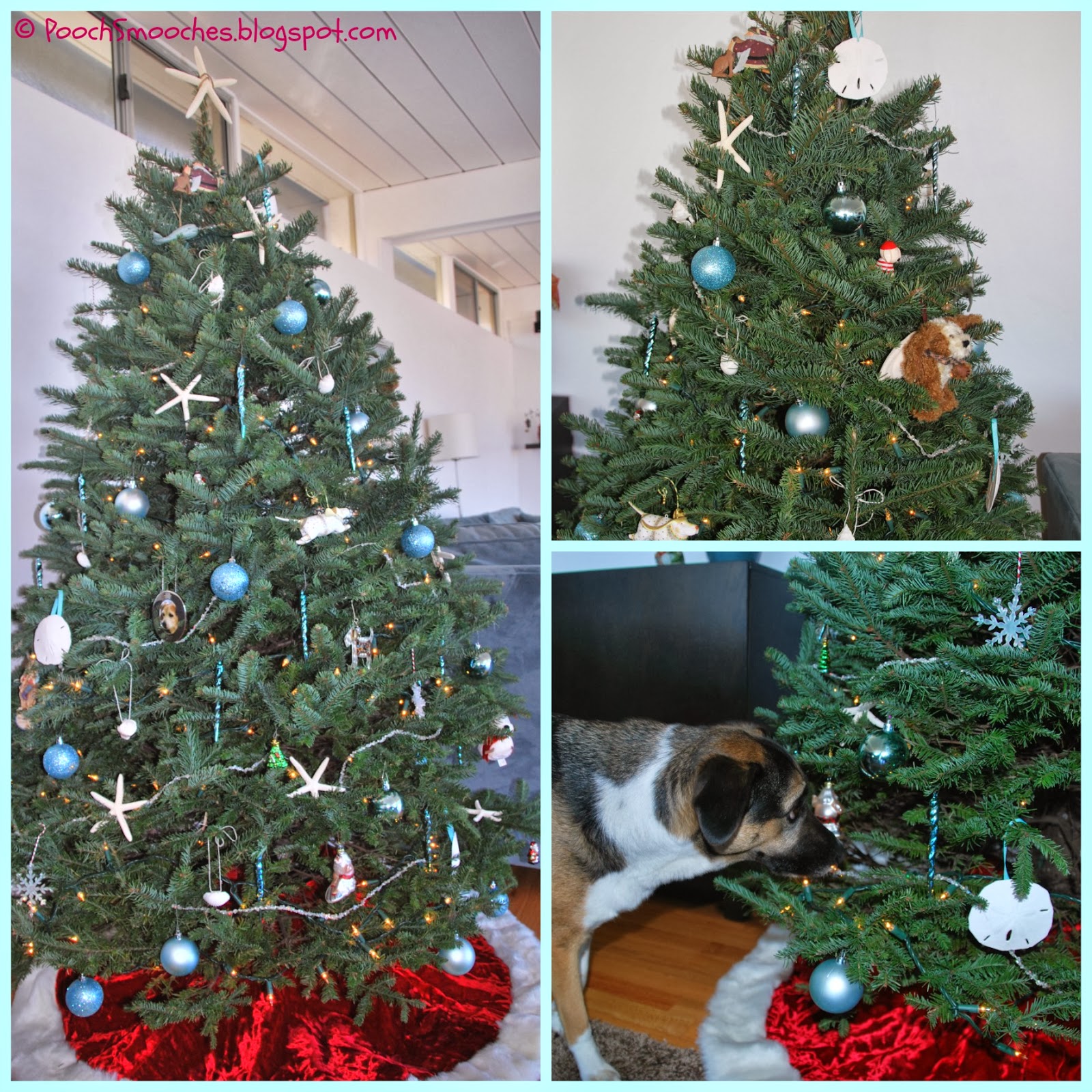 pooch smooches decorating the christmas tree with a dogs pooch smooches decorating the christmas tree with a dogs