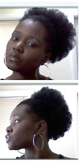 Why Michelle Went Natural Tytenisha Osgood