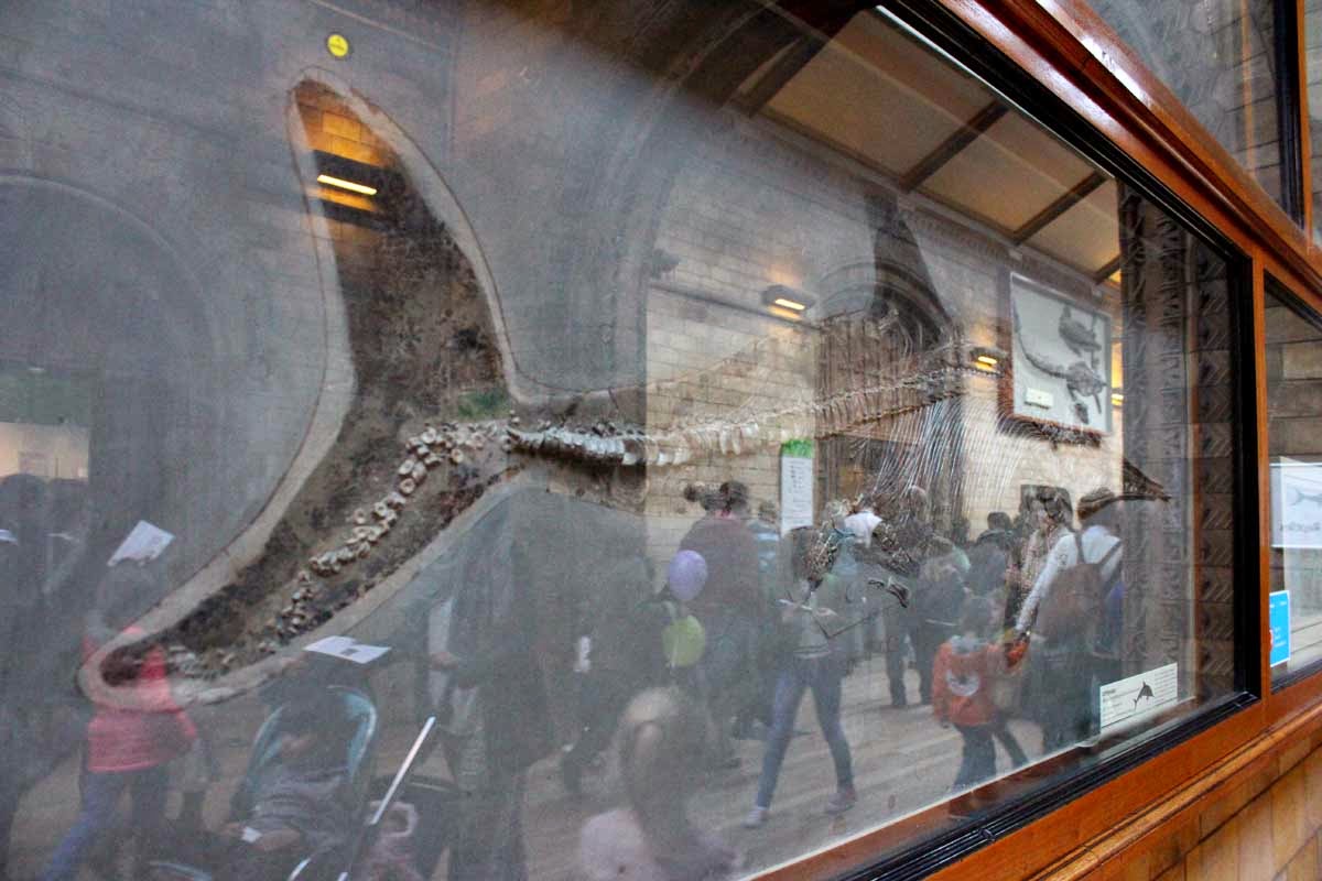 london, fabulous trip, natural history museum, todaymyway.com