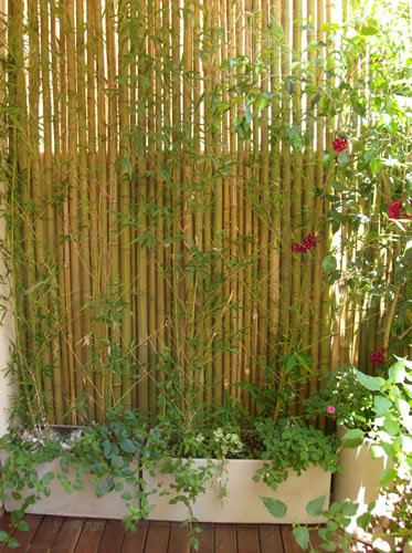 Arte y jardinerÃa diseÃo de jardines: superficies verticales ...