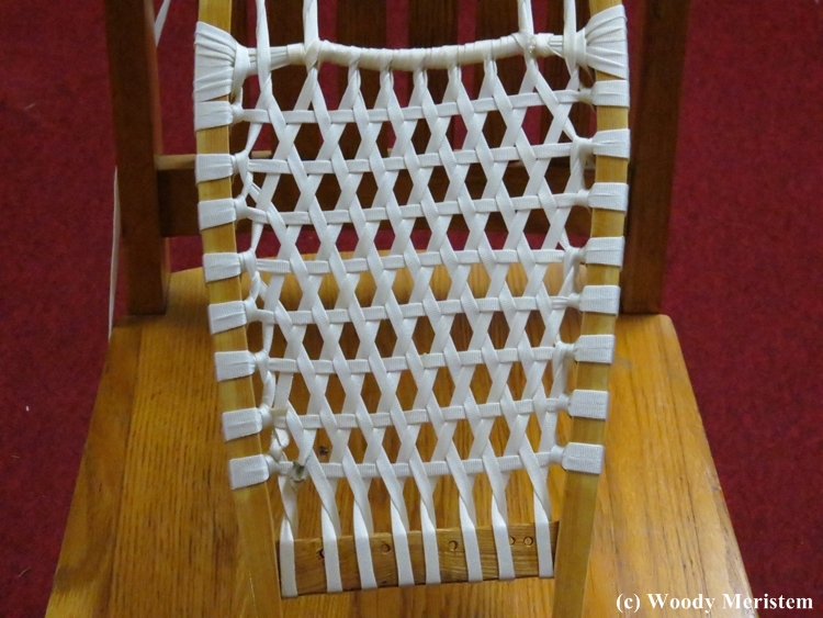 In Forest and Field Snowshoes