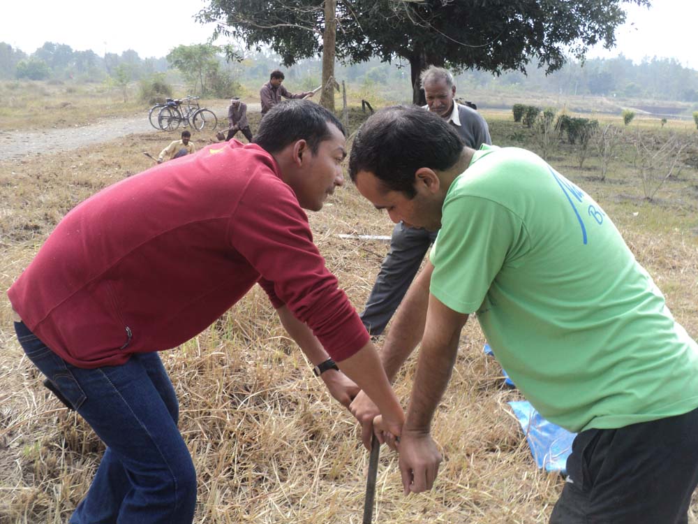 प्रकृति Peace Unearthed